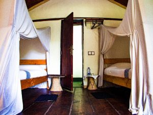 Tented twin Room - Inside - Eco-omo Lodge